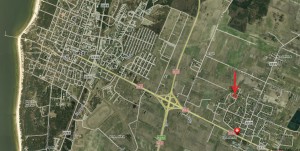 vydmantai4
